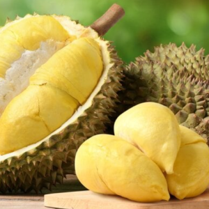 SẦU RIÊNG DONA KRÔNG NĂNG