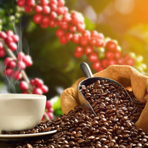 Cà phê Krông Năng