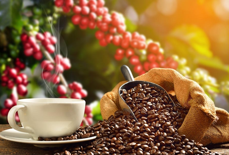 Cà phê Krông Năng