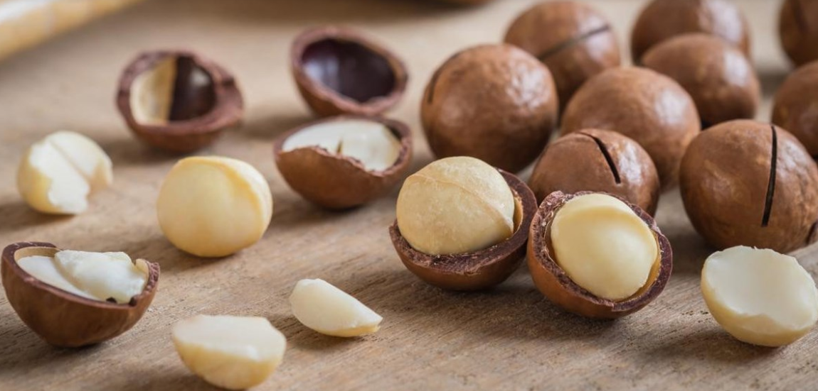 Hạt Macca Krông Năng – Vị ngon thuần khiết - Ảnh 2