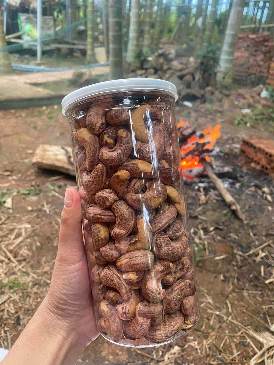 Hạt Điều Krông Năng - Ảnh 3