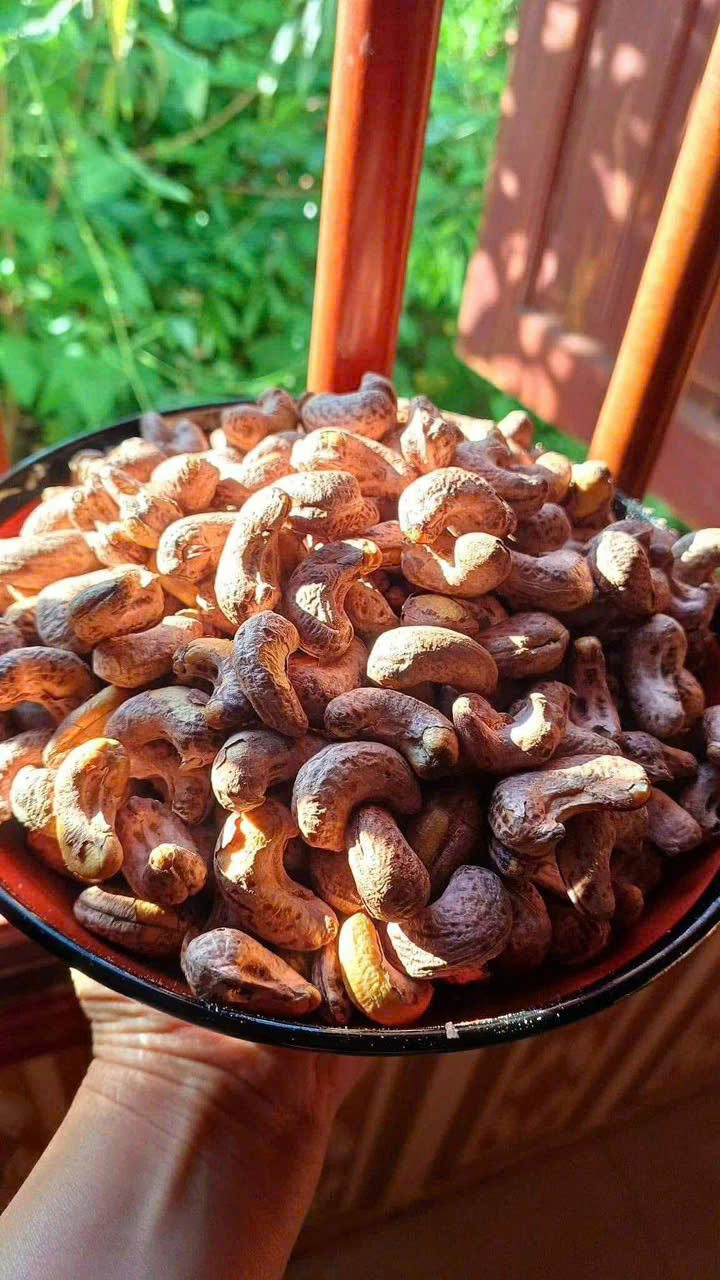 Hạt Điều Krông Năng - Ảnh 2