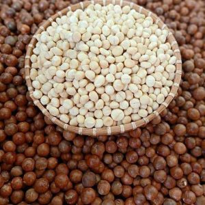 Hạt Macca Krông Năng – Vị ngon thuần khiết