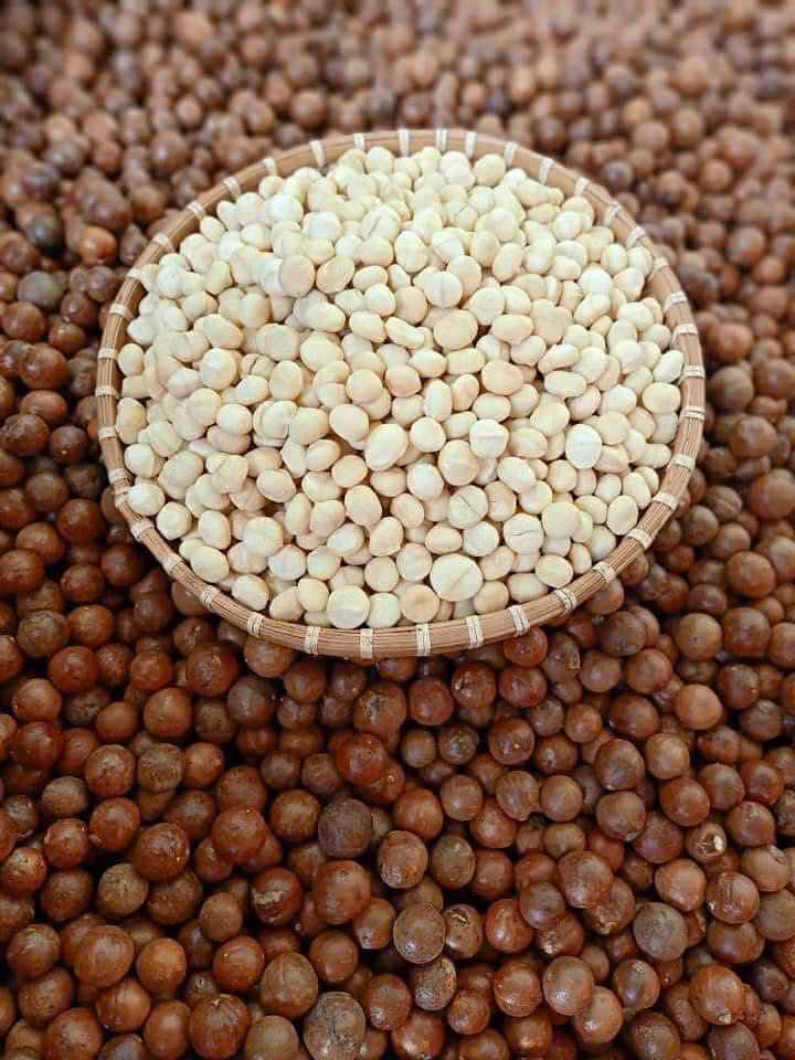 Hạt Macca Krông Năng – Vị ngon thuần khiết